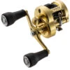 Shimano Calcutta Conquest MD Baitcasting Reels -Shimano Shop shimano calcutta conquest md baitcasting reels 08708.1697343751