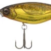 Shimano Enber 60SP Jerkbait - Black/Gold -Shimano Shop shimano enb60spkg enber 60sp jerkbait 66954.1697349381