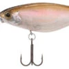 Shimano Enber 60SP Jerkbait -Shimano Shop shimano enber 60sp jerkbait 65782.1697349410