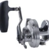 Shimano Ocea Jigger Star Drag Conventional Reels -Shimano Shop shimano ocea jigger star drag conventional reels 19956.1697029810