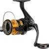 Shimano Sahara FJ Spinning Reels -Shimano Shop shimano sahara fj spinning reels 83972.1697239832