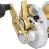 Shimano Talica Single Speed Lever Drag Reels 2 Shimano Talica Single Speed Lever Drag Reels -Shimano Shop shimano talica reels 25603.1696843766