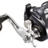 Shimano Tekota Level Wind Conventional Reels 1 Shimano Tekota Level Wind Conventional Reels -Shimano Shop shimano tekota levelwind reels 12768.1696843849