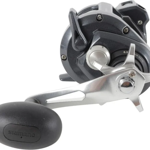 Shimano Tekota Level Wind Conventional Reels -Shimano Shop shimano tekota levelwind reels 92736.1696843849