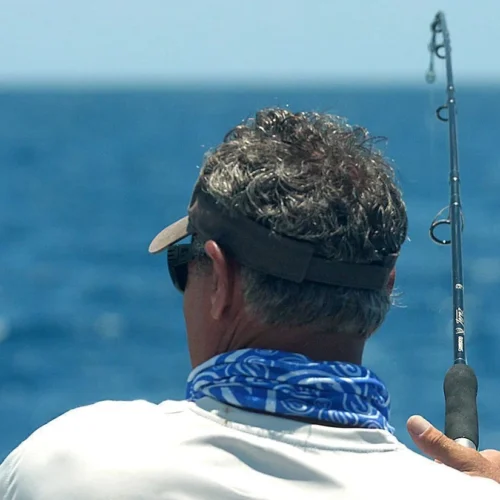 Shimano Terez Conventional Rods -Shimano Shop shimano terez conventional fishing rods 81352.1696843881