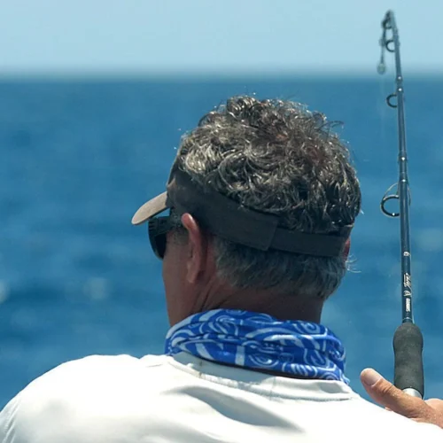 Shimano Terez Spinning Rods -Shimano Shop shimano terez spinning fishing rods 84463.1696843888