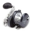 Shimano Torium Star Drag Conventional Reels -Shimano Shop shimano torium star drag reels 65850.1696844173