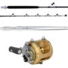 Shimano Terez TZBW78MHFRUBA / Tiagra TI30A BW Full Roller Standup Combo - UB2-SLV -Shimano Shop shimano tzbw78mhfruba ti30a ub2 slv terez bw fr standup combo 73477.1719420683.386.513