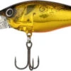Shimano World Crank 73F Crankbait - Black Gold -Shimano Shop shimano wc73flkg world crank 73f crankbait 51601.1697239891.386.513