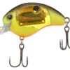 Shimano World Rush Square Bill Crankbait - Black Back Chart -Shimano Shop shimano wr56fbbc world rush square bill crankbait 74529.1697349608