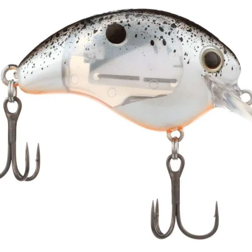 Shimano Shop 28 Shimano Shop -Shimano Shop shimano wr56fbbs world rush square bill crankbait 93776.1697349615