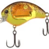 Shimano World Rush Square Bill Crankbait - Brown Back Splatter -Shimano Shop shimano wr56fbrbs world rush square bill crankbait 99699.1697349623