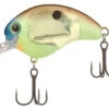 Shimano World Rush Square Bill Crankbait - Copper Back -Shimano Shop shimano wr56fcb world rush square bill crankbait 01962.1697349626