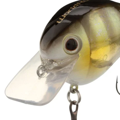 Shimano World Rush Square Bill Crankbait - Natural Gil -Shimano Shop shimano wr56fng world rush square bill crankbait 78610.1697349641