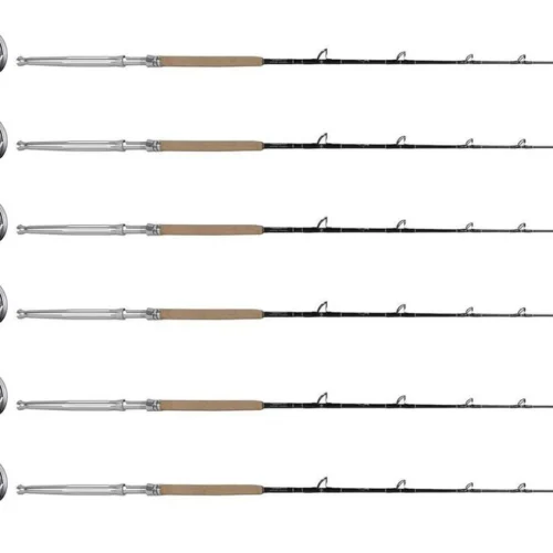 Shimano Speedmaster SPM20II / TDPSTSC661630SIC Sailfish C. (6 Combos)