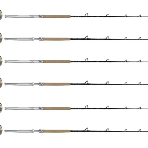 Shimano Talica A TAC16IIA / TDPSTSC661630SIC Sailfish Can. (6 Combos)