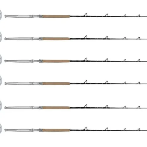 Shimano Talica BFC TAC20BFC / TDPSTSC662040SIC PH White M. (6 Combos)