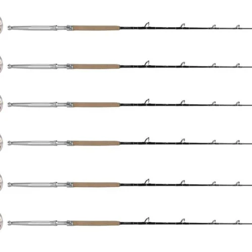 Shimano Talica A TAC20IIA / TDPSTSC661630SIC Sailfish Can. (6 Combos)