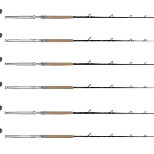 Shimano TLD A TLD20IIA / TDPSTSC661630SIC Sailfish Canyon (6 Combos)