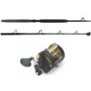 Shimano TLD 30II / TackleDirect TDPS603050RS Combo -Shimano Shop tackledirect tdps603050rs tld30iia platinum hook rs standup shimano tyrnos combo 70167.1714488673