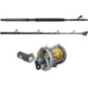 Shimano Tyrnos 50IILRS / TackleDirect TDPS605080RS Combo -Shimano Shop tackledirect tdps605080rs tyr50iilrs platinum hook rs standup shimano tyrnos combo 95892.1714488683