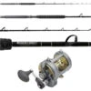 Shimano TYR30II / Platinum Hook TDPS662040SIN White Marlin Package -Shimano Shop tackledirect tdps662040sin shimano tyr20ii white marlin package 42696.1728059500