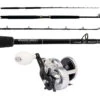 Shimano Trinidad 20A / TackleDirect TDPS702050SIN Kingfish Combo -Shimano Shop tackledirect tdps702050sin tn20a platinum hook kingfish combo 22067.1752076146