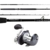 Shimano Torium 30HGA / TackleDirect TDPS703050SIN Kingfish Combo -Shimano Shop tackledirect tdps703050sin tor30hga platinum hook kingfish combo 71732.1752496158