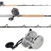Shimano Talica BFC / Platinum Hook TDPSTSC661630SIC Billfish Combo -Shimano Shop tackledirect tdpstsc661630sic tac20bfc tournament billfish combo 48405.1720023067