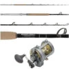 Shimano Tyrnos 30II / Platinum Hook TDPSTSC662040SIC Billfish Combo -Shimano Shop tackledirect tdpstsc662040sic tyr30ii billfish combo 47196.1720024896